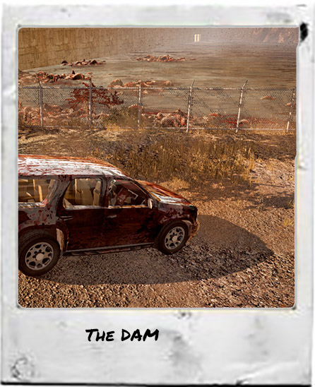 the dam